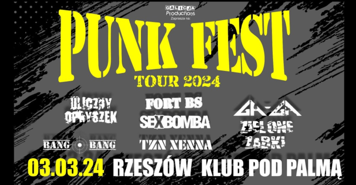 Punk Fest Tour 2024. Rzeszów Pod Palmą